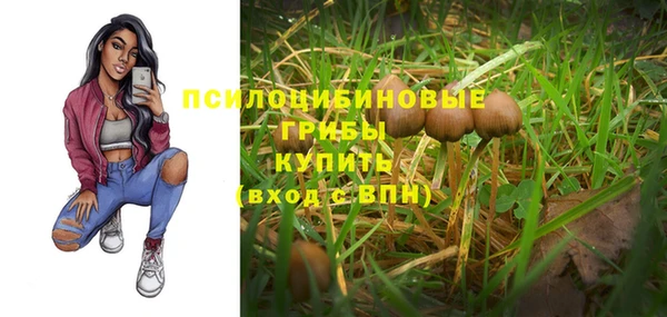 тгк Лагань